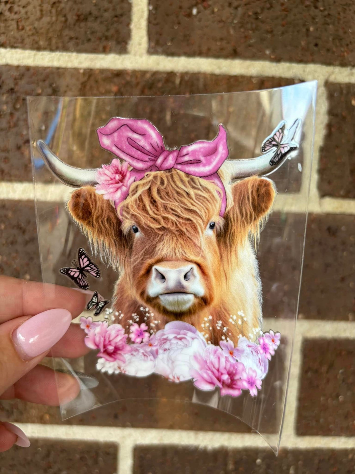 HIGHTLAND COW- DECAL